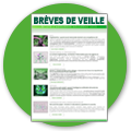 Brèves de veille